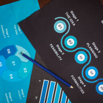Information Visualization Design | Customized Charts and Flowcharts